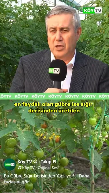 Emin Bey, sığır derisinden organik gübre üretim sürecini anlatıyor.